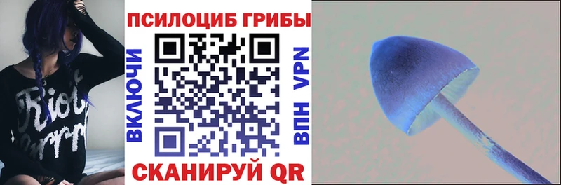 Псилоцибиновые грибы ЛСД  MEGA ССЫЛКА  Нижняя Тура 